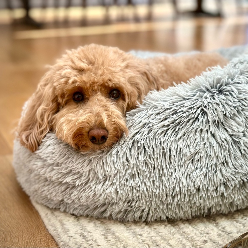 Meet your Posher, Coco B